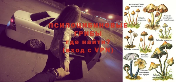 соль ск Арсеньев
