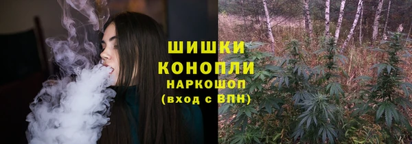 Альфа ПВП Аркадак